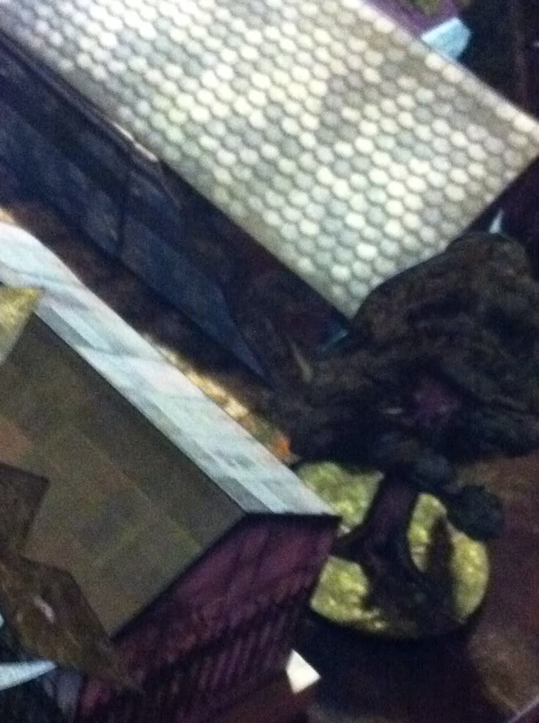 Crypt of Col Fen - Image 1